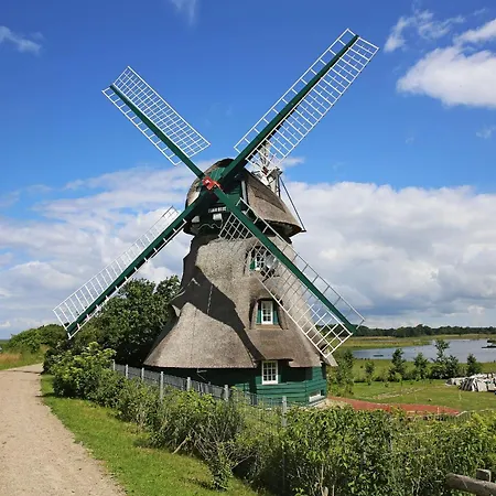 Bruhn's Seehund Maasholm