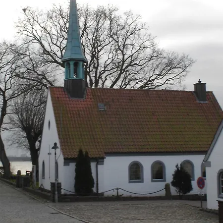 Bruhn's Seehund * Maasholm