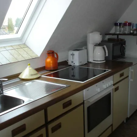 Bruhn's Seehund Maasholm