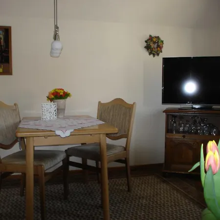 Bruhn's Seehund * Maasholm